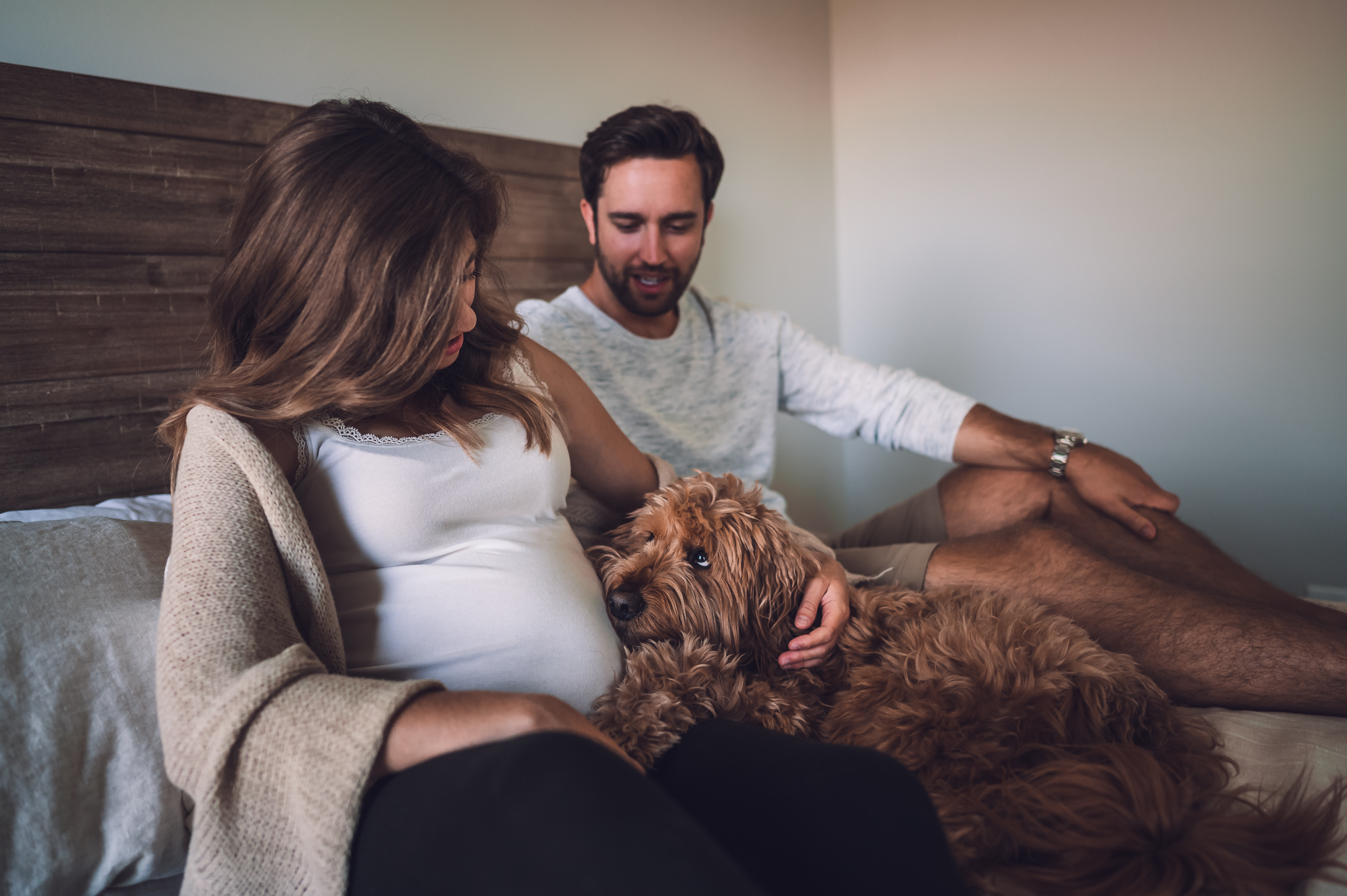 Maternity photo session on a bed with a dog