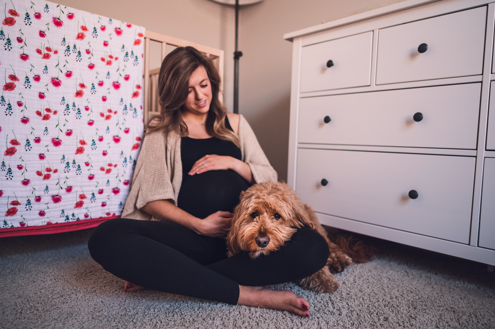 In-home maternity photography session with dog