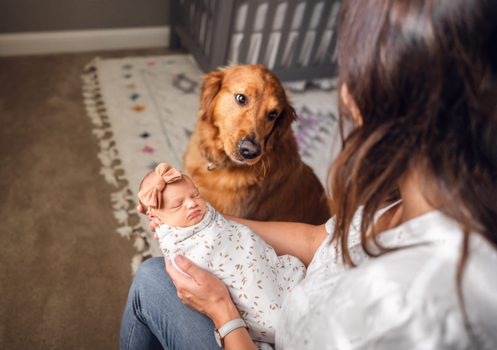 Dog with newborn baby